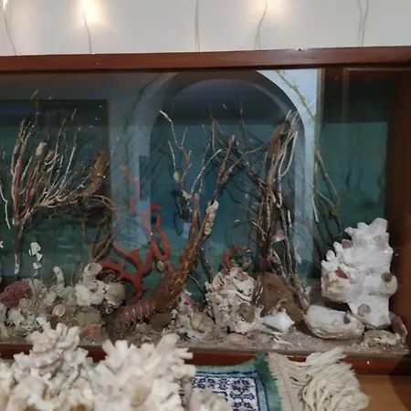 Lejlighed L'amuri Du Mare *